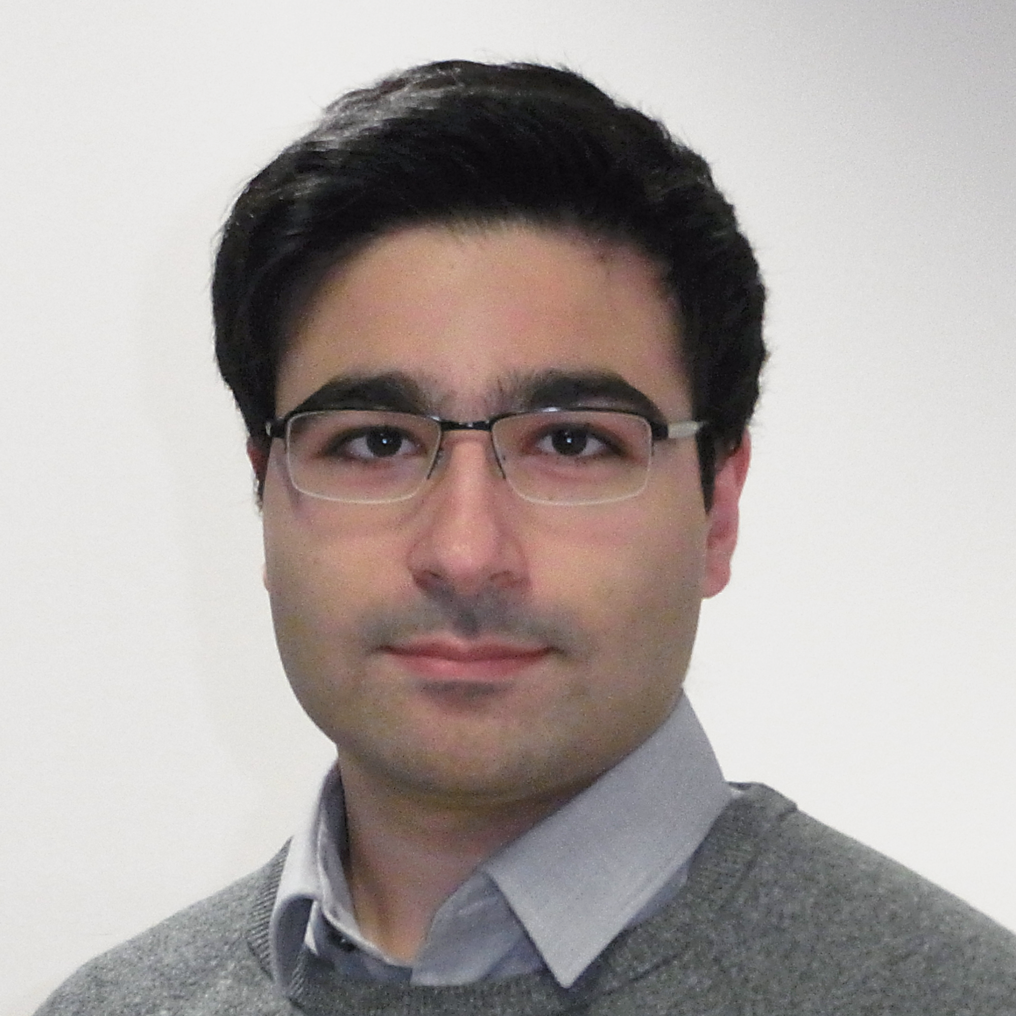 This image shows Pedram Hosseyni, M.Sc.